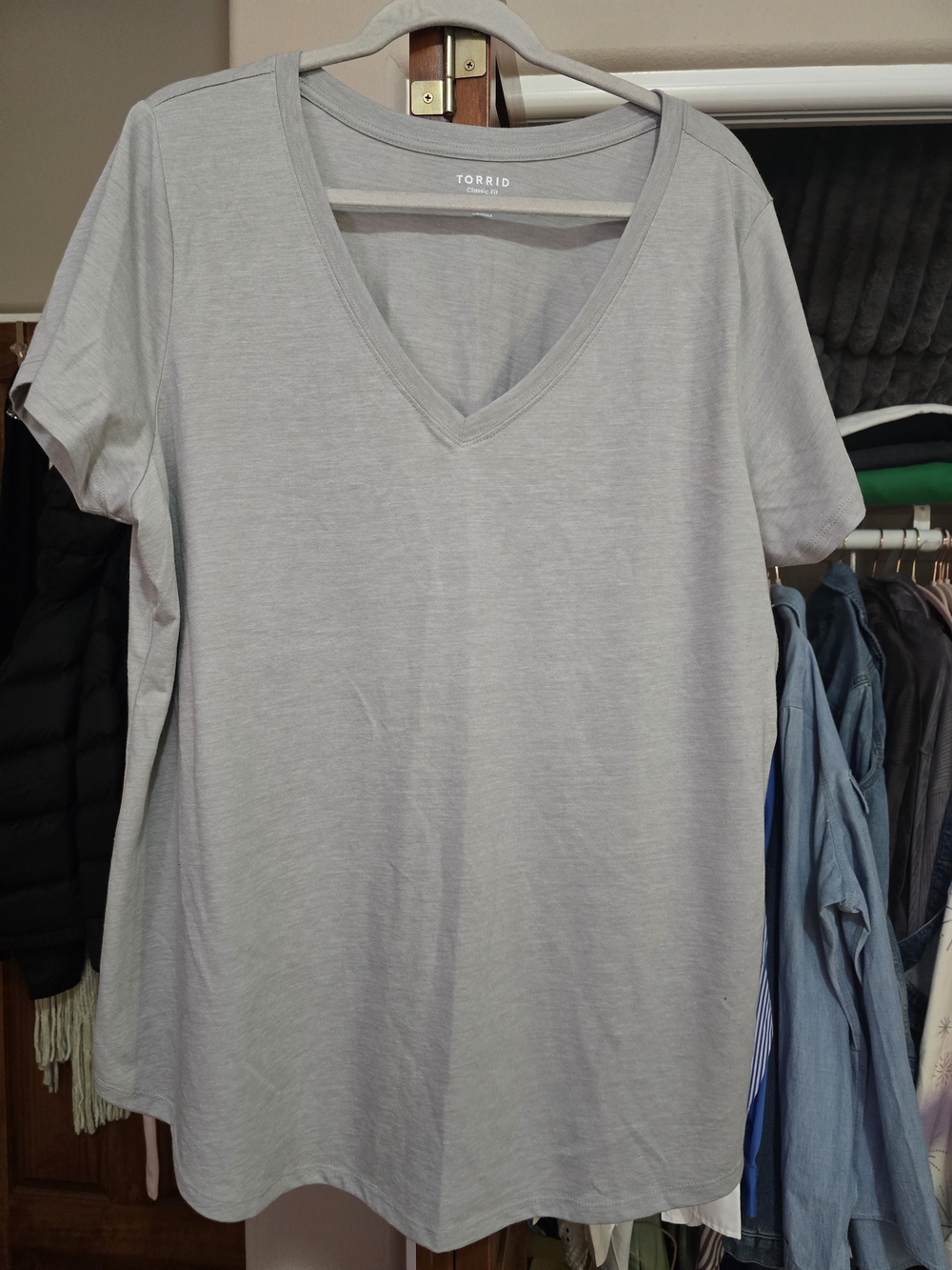 Torrid Light Gray V-Neck Short Sleeve Tee